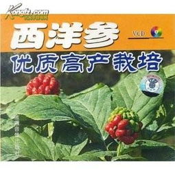浙江西洋參種植技術與黑參產品開發